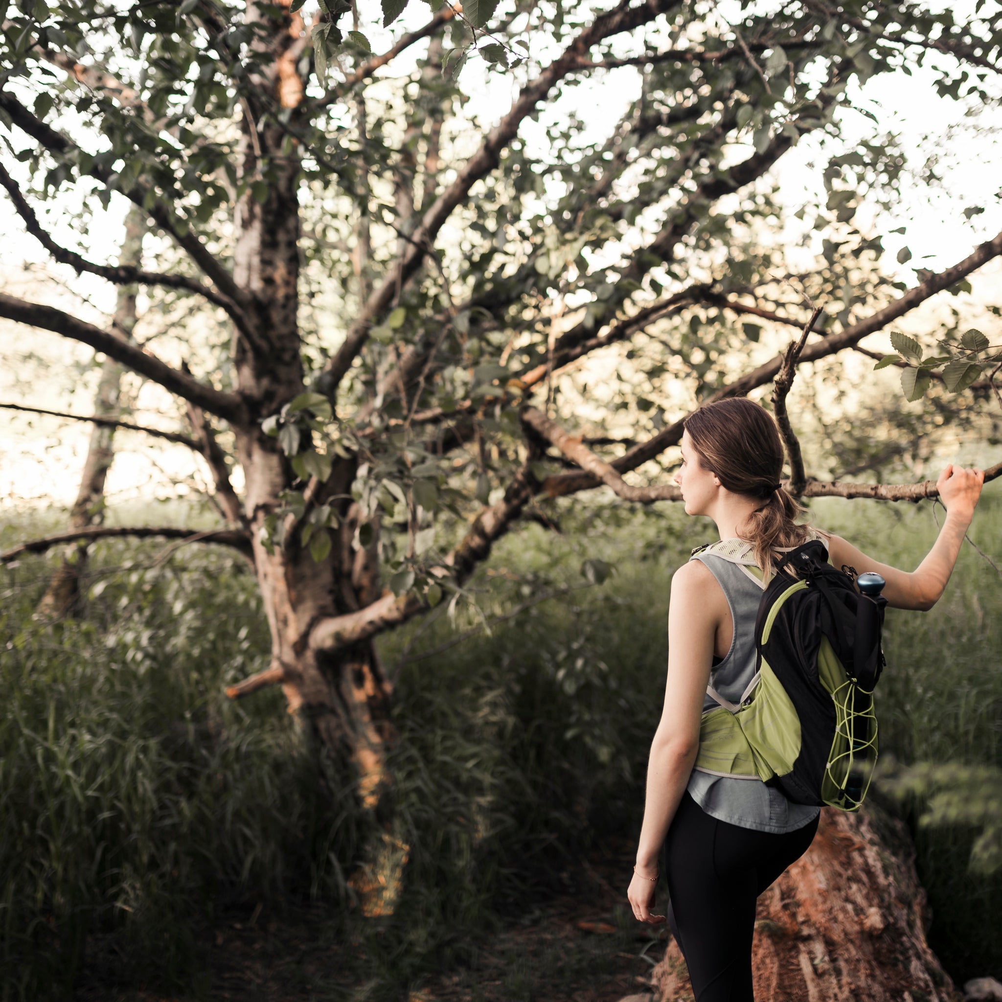 Eddie Bauer en Epic: Tu compañero de aventuras al aire libre